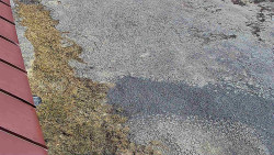 Nástup na běžecké tratě