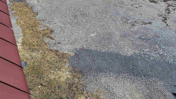 Nástup na běžecké tratě