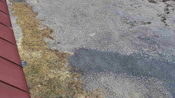 Nástup na běžecké tratě