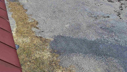 Nástup na běžecké tratě