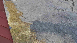 Nástup na běžecké tratě