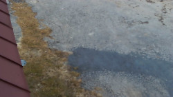 Nástup na běžecké tratě