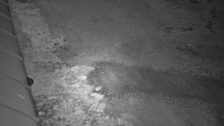 Nástup na běžecké tratě