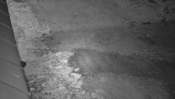 Nástup na běžecké tratě