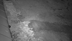 Nástup na běžecké tratě