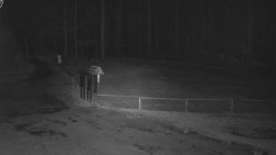 Nástup na běžecké tratě