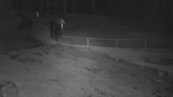 Nástup na běžecké tratě