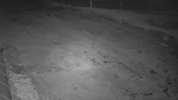 Nástup na běžecké tratě