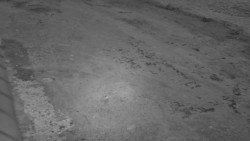 Nástup na běžecké tratě