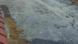 Nástup na běžecké tratě