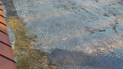 Nástup na běžecké tratě