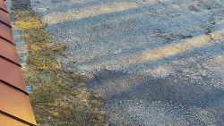 Nástup na běžecké tratě