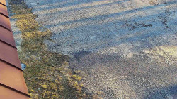 Nástup na běžecké tratě