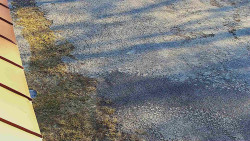 Nástup na běžecké tratě