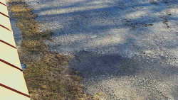 Nástup na běžecké tratě