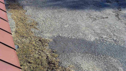 Nástup na běžecké tratě