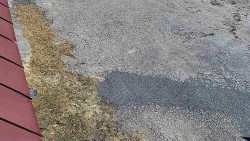 Nástup na běžecké tratě