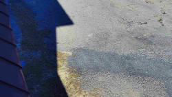 Nástup na běžecké tratě