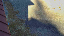 Nástup na běžecké tratě