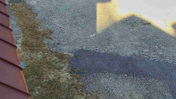 Nástup na běžecké tratě