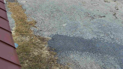 Nástup na běžecké tratě