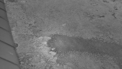 Nástup na běžecké tratě