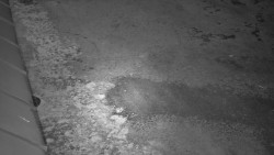 Nástup na běžecké tratě