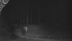 Nástup na běžecké tratě