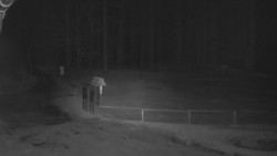 Nástup na běžecké tratě