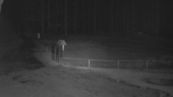 Nástup na běžecké tratě