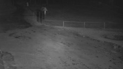 Nástup na běžecké tratě