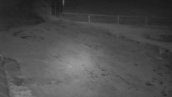 Nástup na běžecké tratě