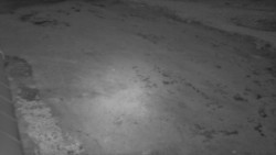 Nástup na běžecké tratě