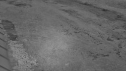 Nástup na běžecké tratě