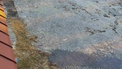 Nástup na běžecké tratě