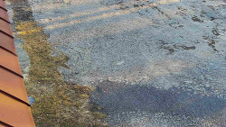 Nástup na běžecké tratě