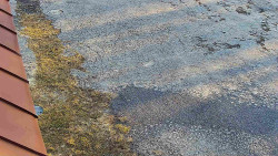 Nástup na běžecké tratě