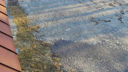 Nástup na běžecké tratě