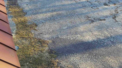 Nástup na běžecké tratě