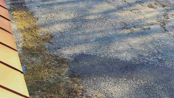 Nástup na běžecké tratě