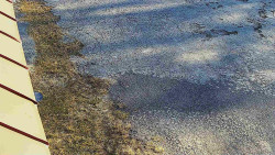 Nástup na běžecké tratě