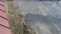 Nástup na běžecké tratě