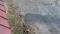 Nástup na běžecké tratě