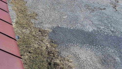 Nástup na běžecké tratě