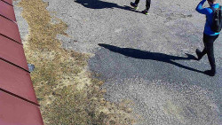 Nástup na běžecké tratě