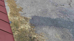 Nástup na běžecké tratě