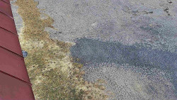 Nástup na běžecké tratě