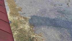 Nástup na běžecké tratě