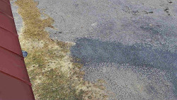 Nástup na běžecké tratě