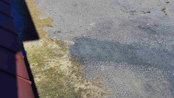 Nástup na běžecké tratě